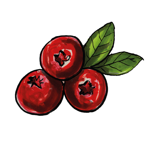 Cranberries, getrocknet