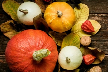 Der Kürbis – ein beerenstarkes Gemüse