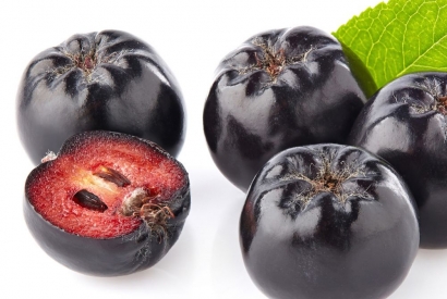 Aronia – die Königin der Beerenfamilie