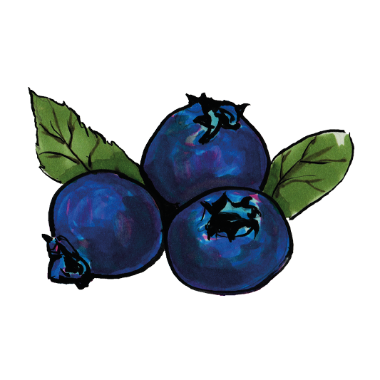 Heidelbeeren, gefriergetrocknet